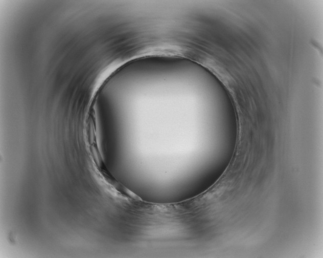 X0000097760960200803211711