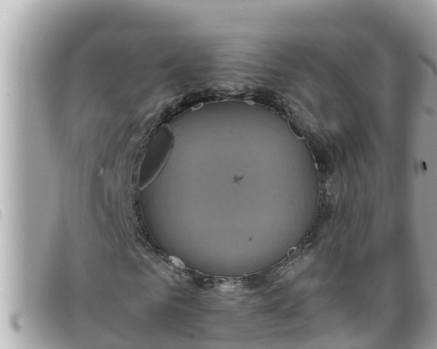 X0000097760961200803211711