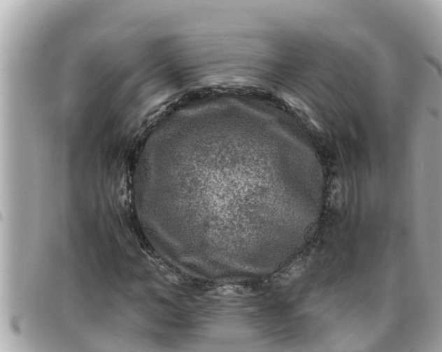 X0000097760966200803211710