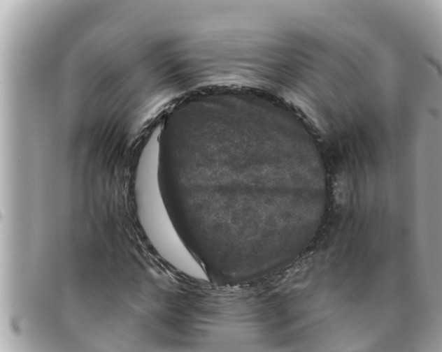 X0000097760968200803211710