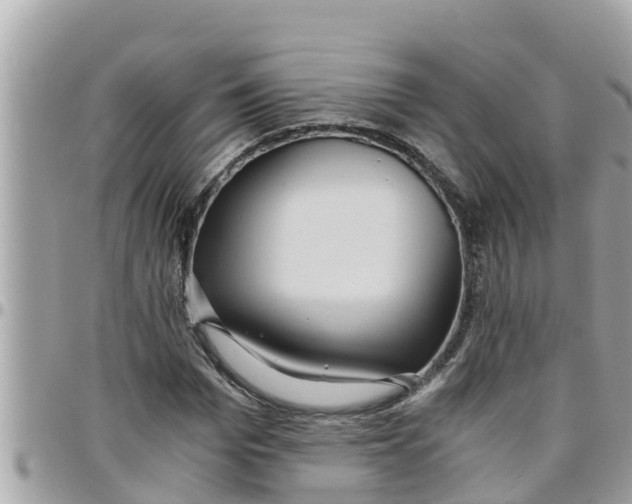 X0000097760969200803211710