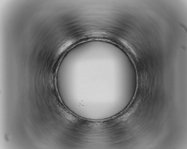 X0000097760970200803211710