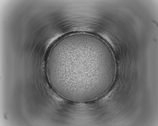 X0000097760971200803211710