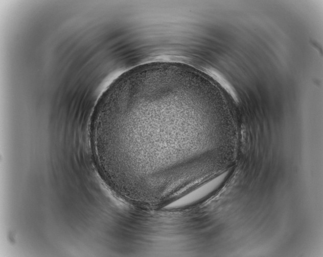 X0000097760972200803211710