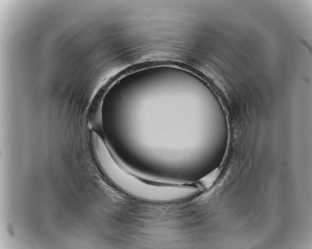 X0000097760973200803211710