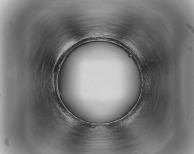 X0000097760974200803211710