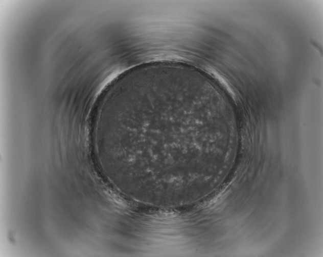 X0000097760975200803211710