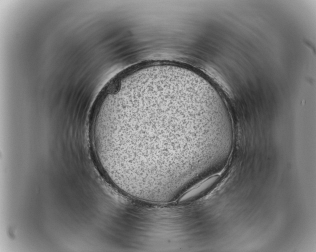 X0000097760976200803211710