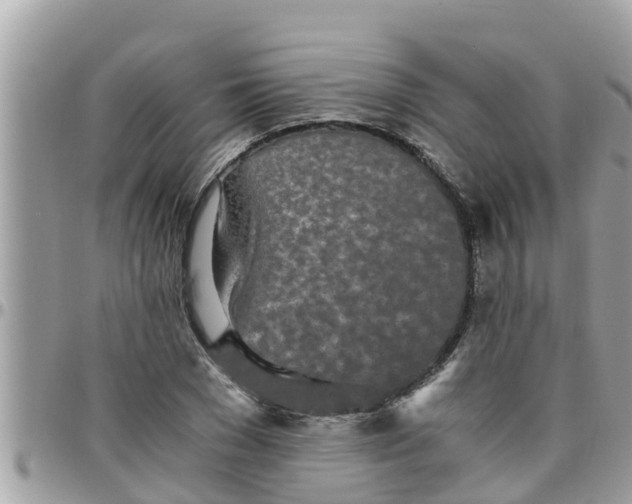 X0000097760977200803211710