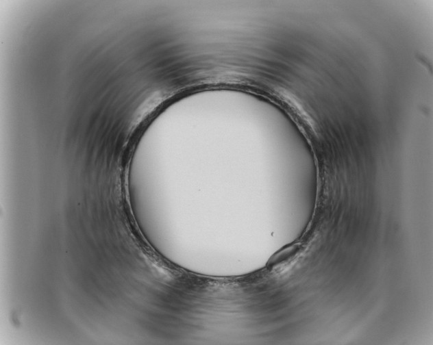 X0000097760978200803211710