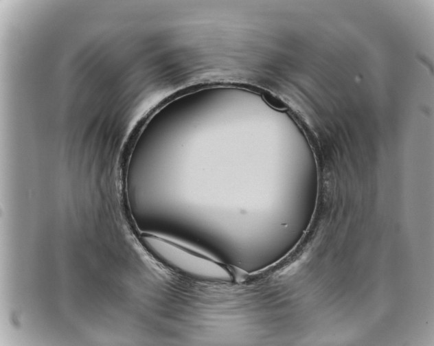 X0000097760981200803211710