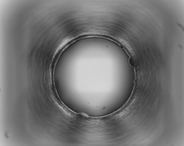 X0000097760982200803211710