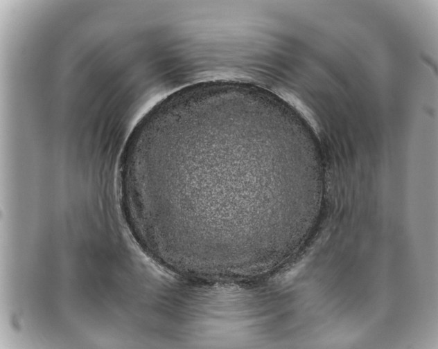 X0000097760983200803211710