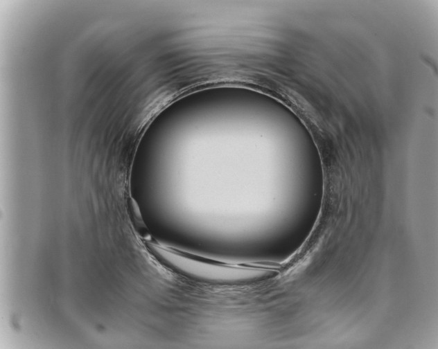 X0000097760985200803211710