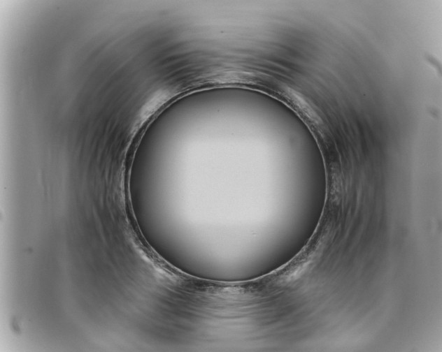 X0000097760986200803211710