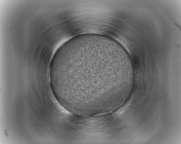 X0000097760987200803211710