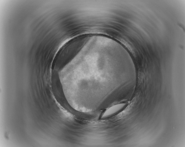 X0000097760988200803211710