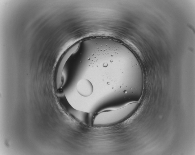 X0000097760989200803211710