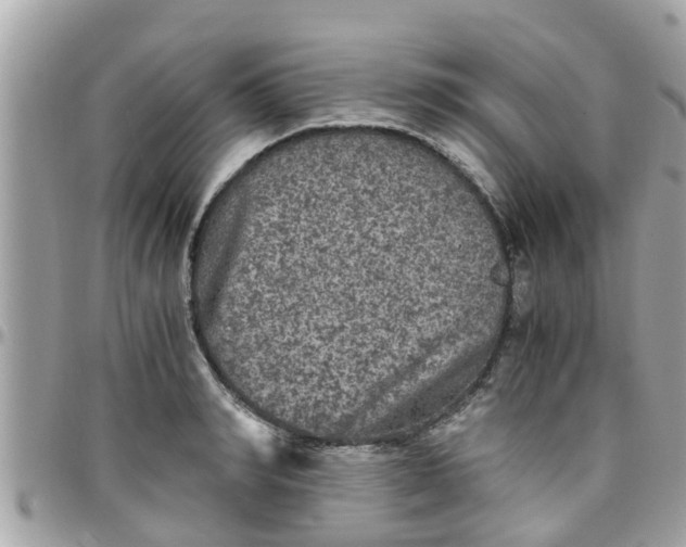 X0000097760990200803211710