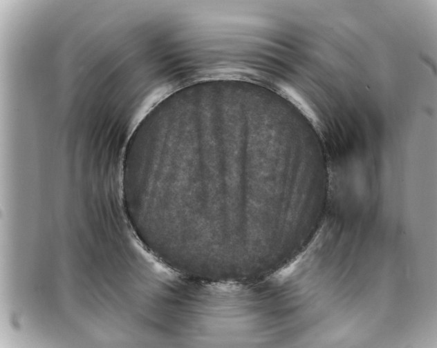 X0000097760994200803211710