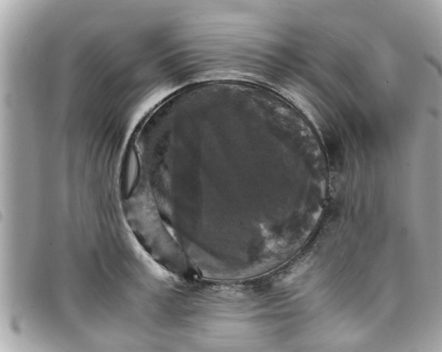 X0000097760995200803211710