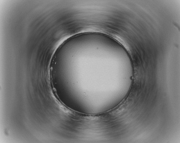 X0000097760996200803211710