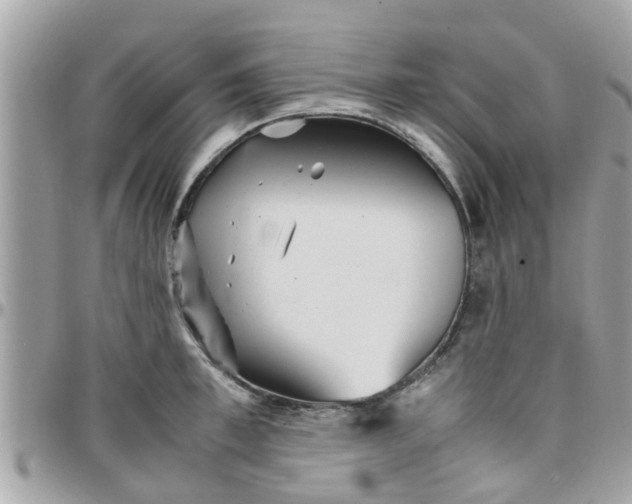 X0000097760997200803211710