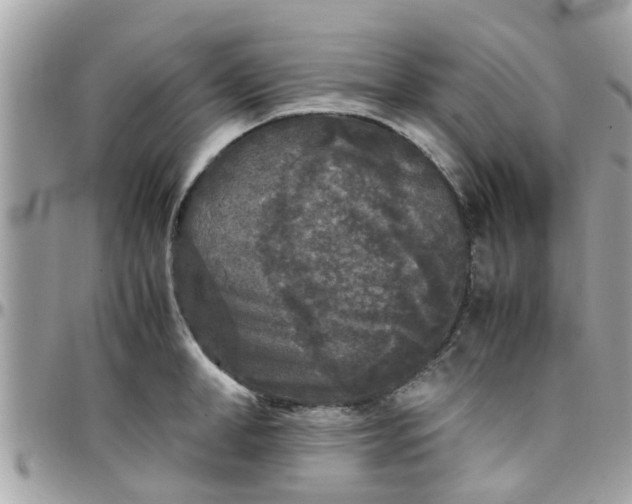 X0000097760998200803211710