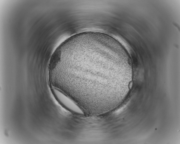 X0000097760999200803211710