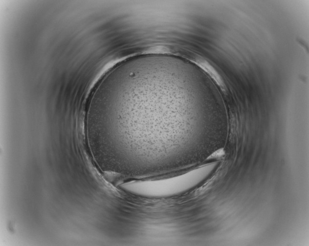 X0000097761000200803211710