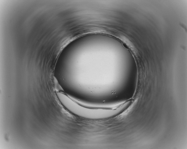 X0000097761001200803211710