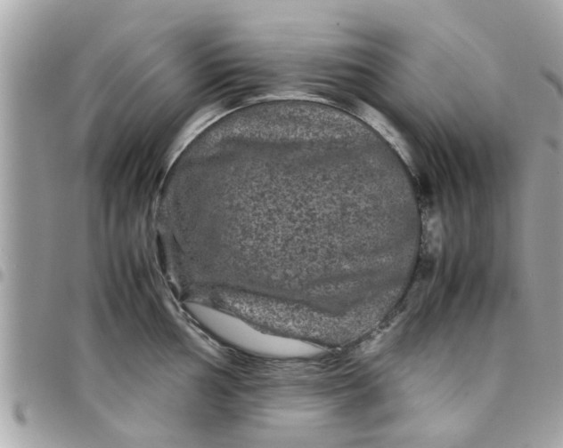 X0000097761002200803211710