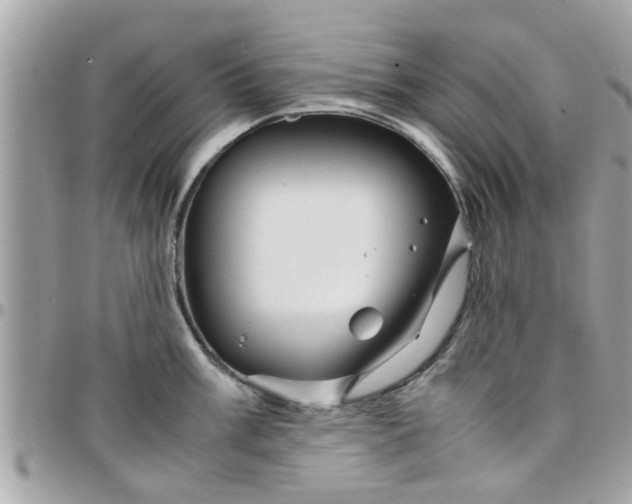 X0000097761003200803211710