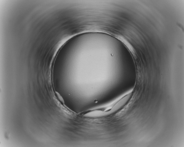 X0000097761004200803211710