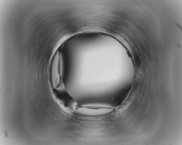 X0000097761005200803211710