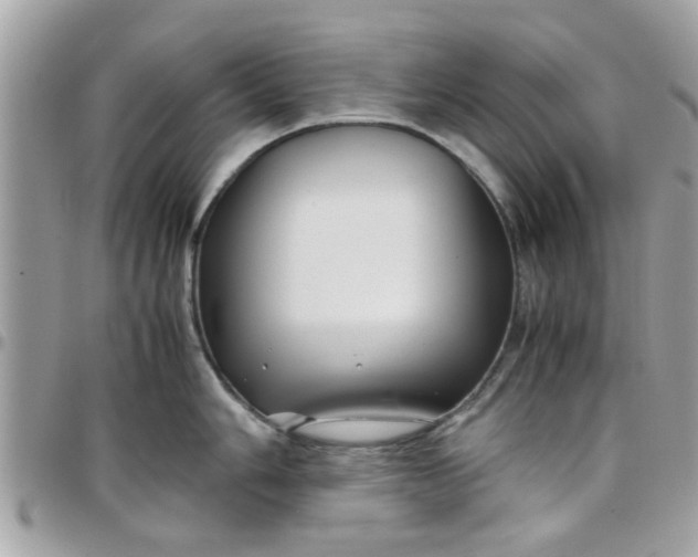 X0000097761006200803211710