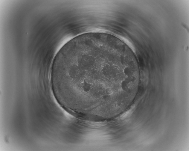 X0000097761007200803211710