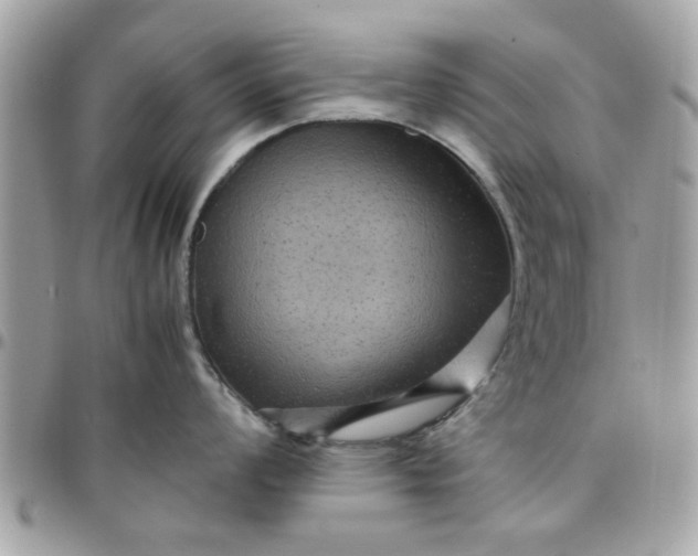 X0000097761008200803211710