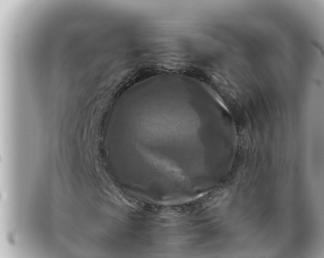 X0000097761009200803211709