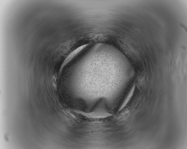 X0000097761010200803211709