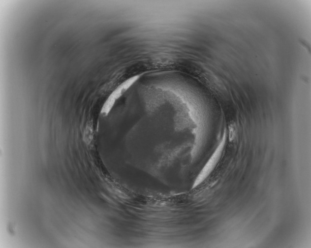 X0000097761011200803211709