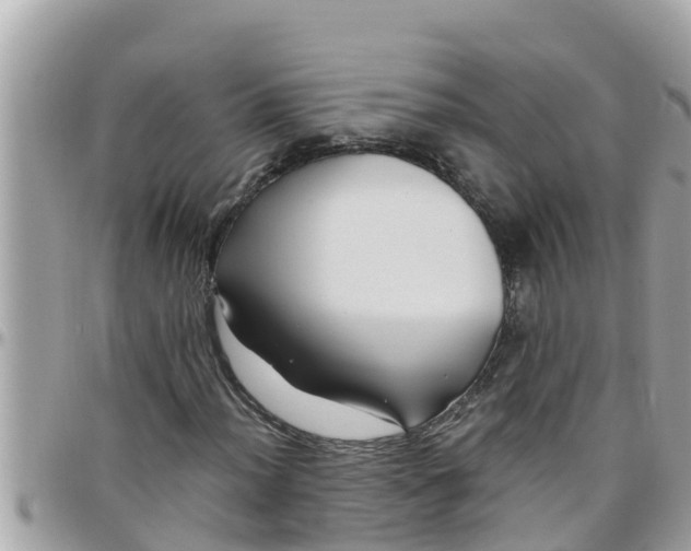 X0000097761012200803211709