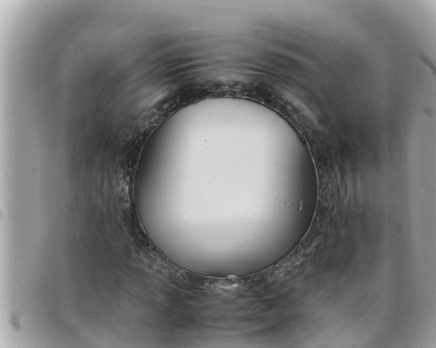 X0000097761013200803211709