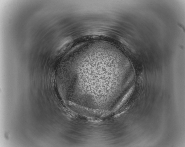 X0000097761014200803211709