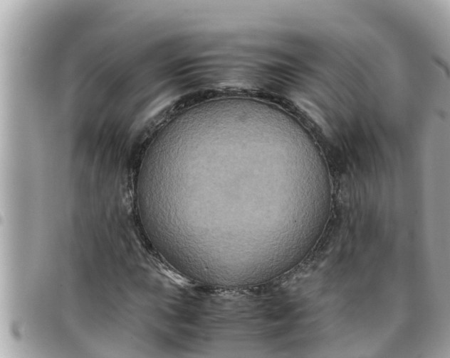 X0000097761015200803211709