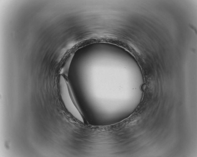 X0000097761016200803211709