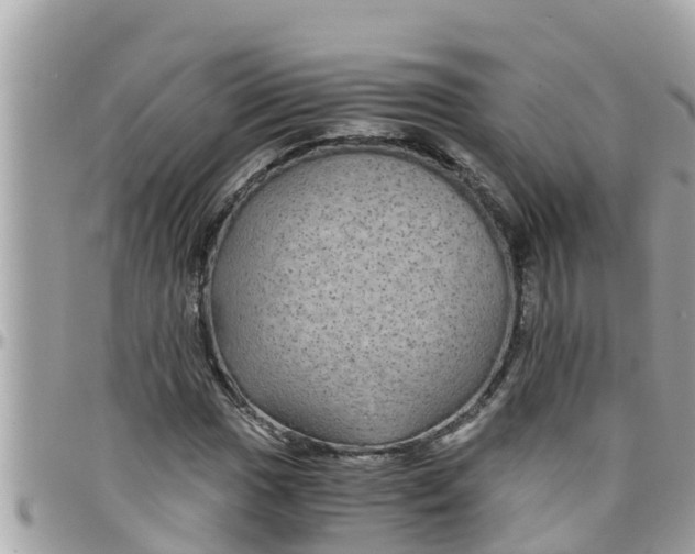 X0000097761017200803211709