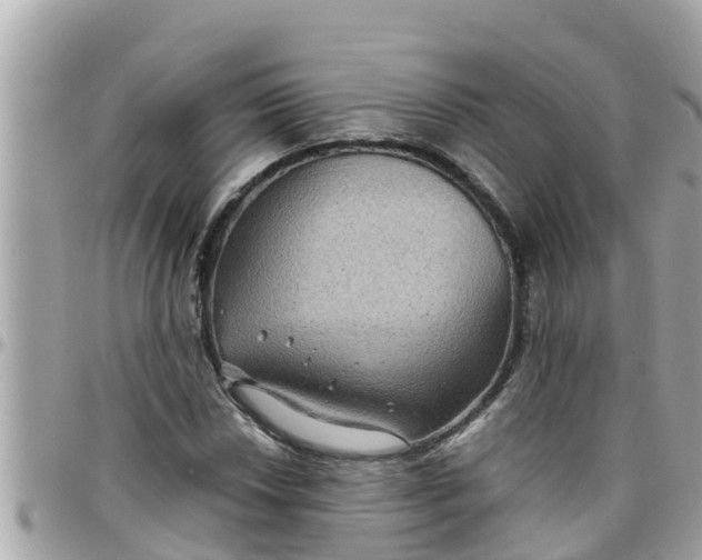 X0000097761018200803211709