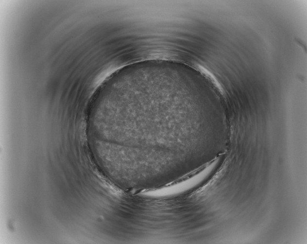 X0000097761019200803211709