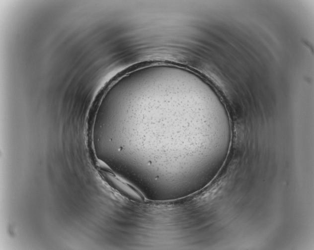 X0000097761020200803211709